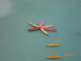 綺麗に浮かんでるカヌー