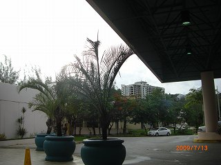 ピックアップ待ち