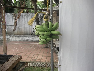 ショップのバナナ