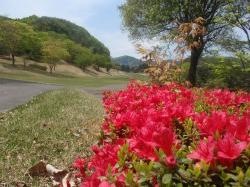 2010503_ＧＯＬＦ２