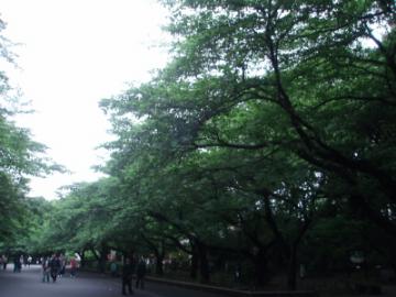20090517_新緑の上野公園
