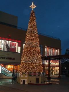 ステラタウン２