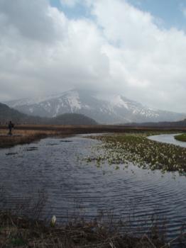 水芭蕉の向こうに至仏山
