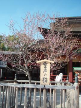 大宰府天満宮３