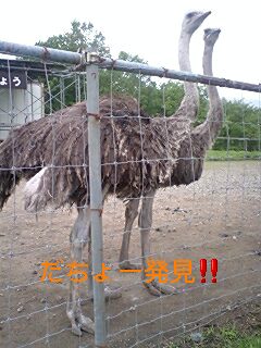 2007-05-30 00:44:26