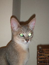 キャラ2006_1113(025).JPG