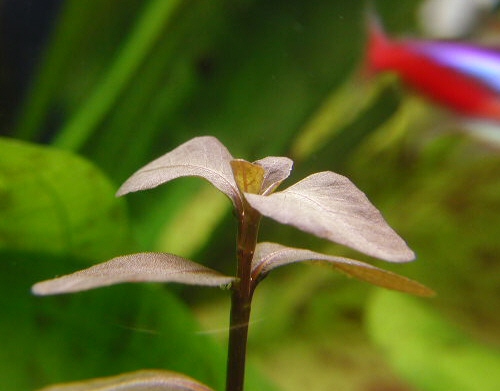 P1010581.jpg