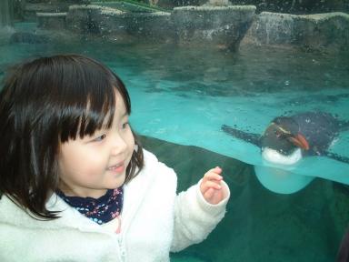 泳ぐペンギン