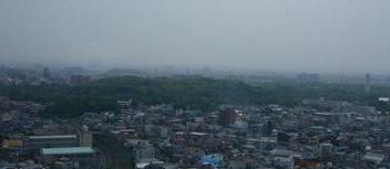 P1000217.JPG