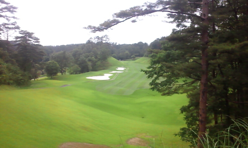 パインツリー20110615