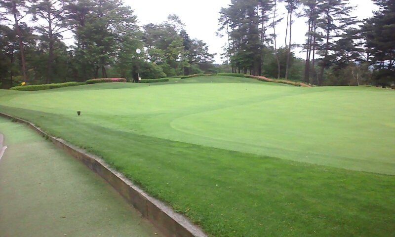 パインツリー練習グリーン