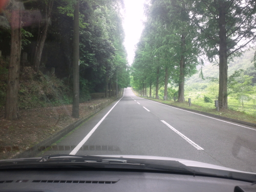 たけべの森　林道