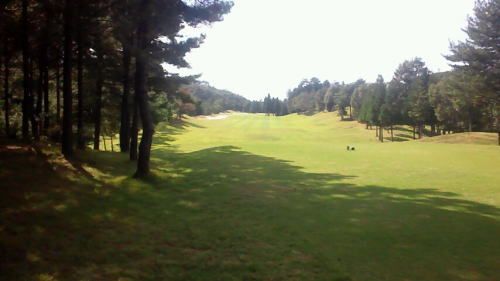 ランドマーク ミドル2