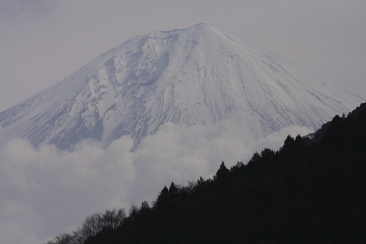 平成22年4月　白き富士の頂