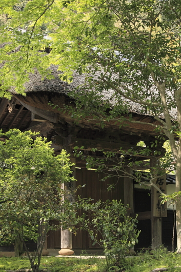 平成22年4月 円覚寺(居士林)
