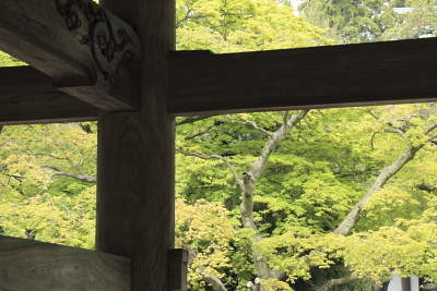 平成22年4月 円覚寺(三門)