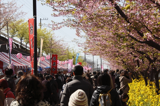 平成21年2月　桜まつり会場
