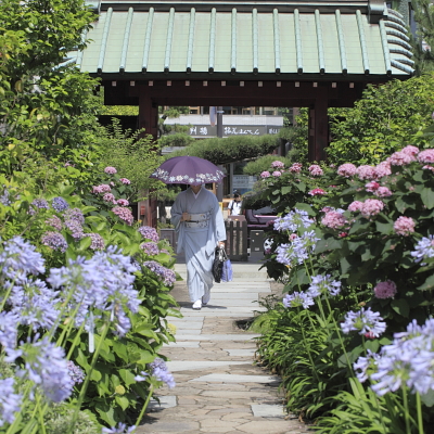 平成22年7月 大巧寺2
