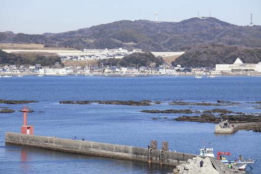 平成22年1月　レストランより大楠山