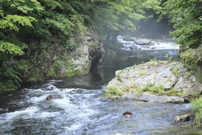 平成22年7月　朝もやのたつ渓