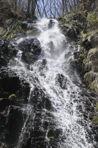 平成22年5月　本州最東端の渓に落ちる滝