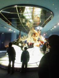 シャチの展示。