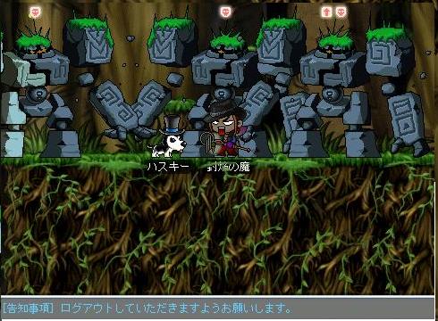 Maple0003.jpg
