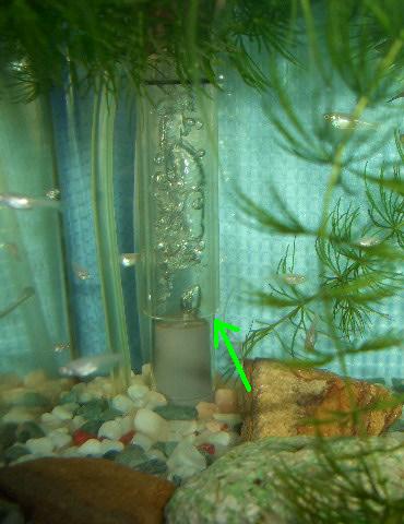 底面フィルターの排水口