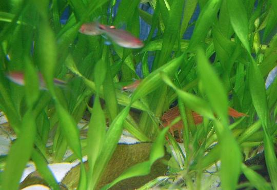 逃げていくロックさん 8,20