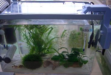 冷却ファン設置