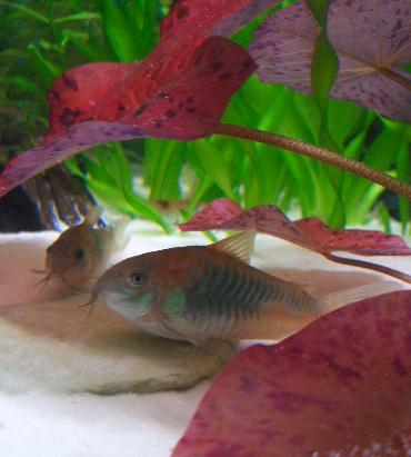 ベネオレさんもお気に入り 2.23