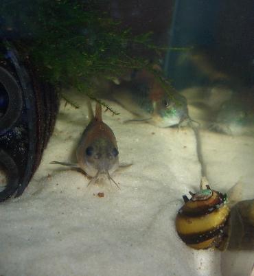 ベネズエラオレンジ 10.22