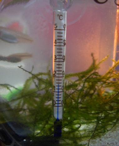 クリスタル水温計SS