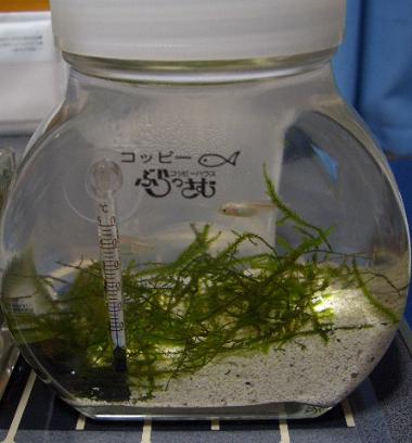 ヒーター設置直後