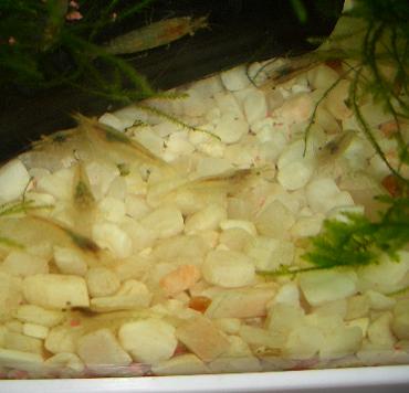 ミナミさん 2.23