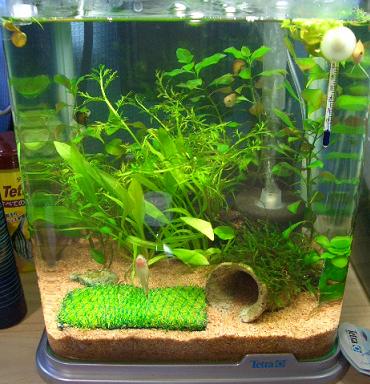 スプライトのトリミング後 10.23