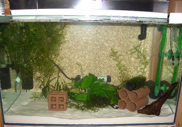 新60ｃｍ水槽設置 1,11