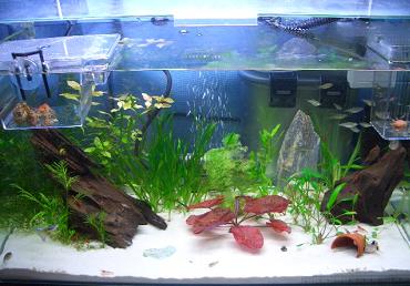 レイアウト完成 2.9