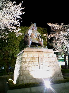 夜桜信玄公.jpg