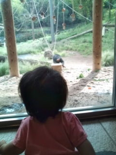 多磨動物園３.JPG