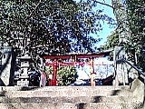 狛雉　きじ　大谷場氷川神社