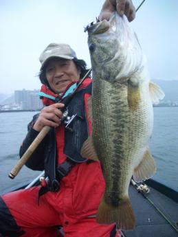 今度は５３ｃｍ