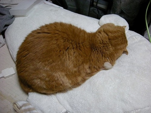 かつては５．５ｋｇ