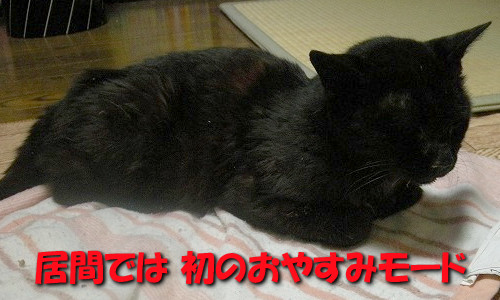 おやすみモード