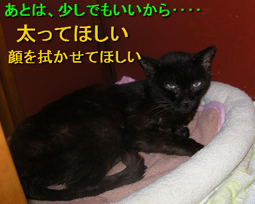 少しでいいから