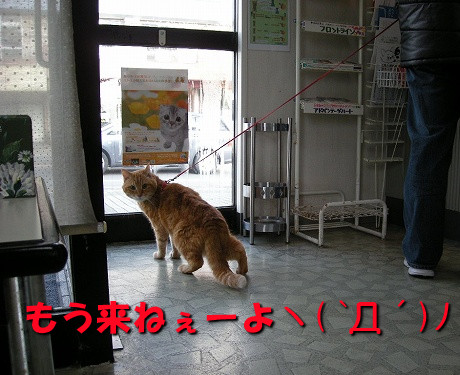 もう来ねぇーよヽ( `Д´)ﾉ