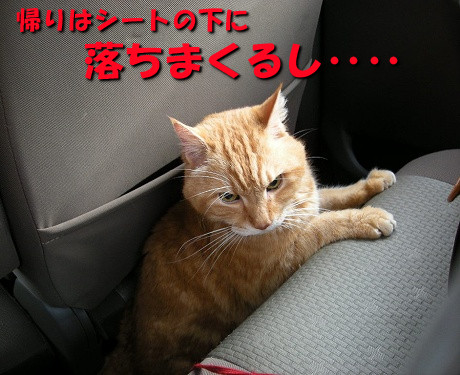 帰りは落ちまくり