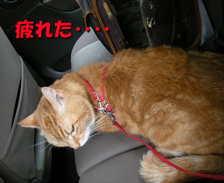 疲れた‥‥