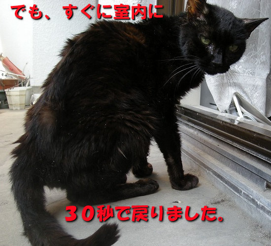 すぐ戻りますが