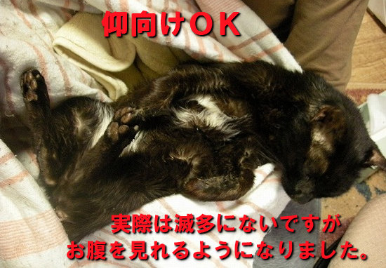 仰向けＯＫ